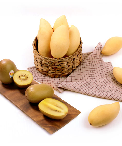 [정성담은] 태국 골드망고&썬골드 키위 점보 혼합선물세트 2kg(9과)